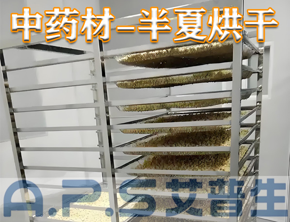 中藥材半夏烘干，除了傳統(tǒng)的烘干方法，首選推薦使用艾普生空氣能熱泵烘干機(jī)