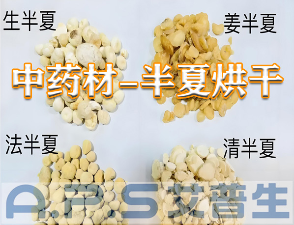 艾普生環(huán)境科技：半夏的烘干方法有哪些？哪一種烘干效果更好？